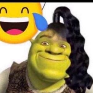 Meet your Posher, Sariah